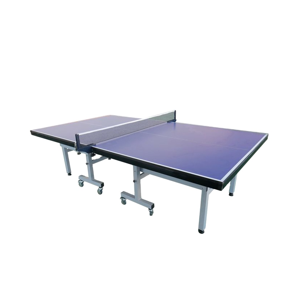 Table Tennis Training - Настольный теннисный стол для помещений высшего